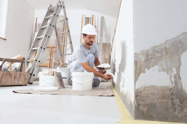 Best Mold Remediation for Vacation Homes  in USA